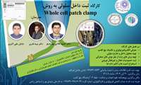 کارگاه ثبت داخل سلولی به روش Whole cell Patch Clamp