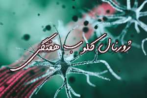 ژورنال کلابهای فصل بهار 1405